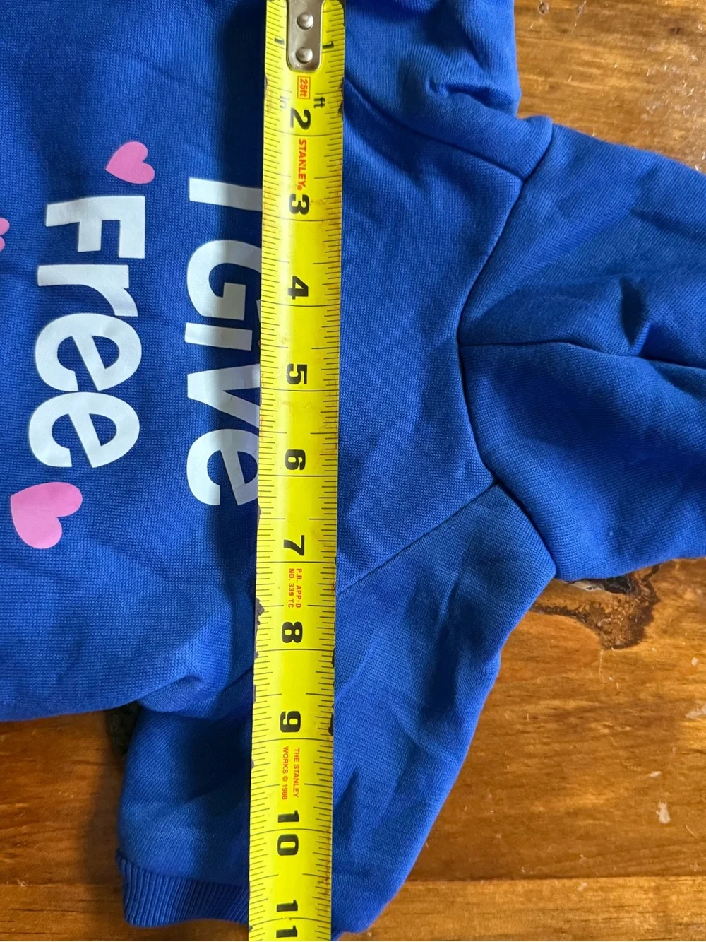 Blue 'I Give Free Kisses' Hooded Pet Shirt